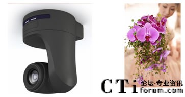 �������^���r��������